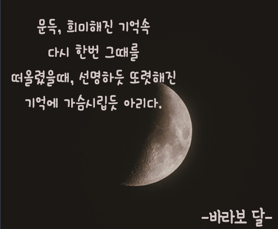 작성자 썸네일