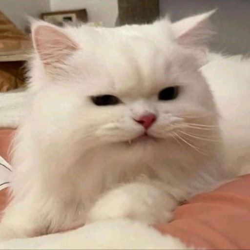 프로필 대표 이미지