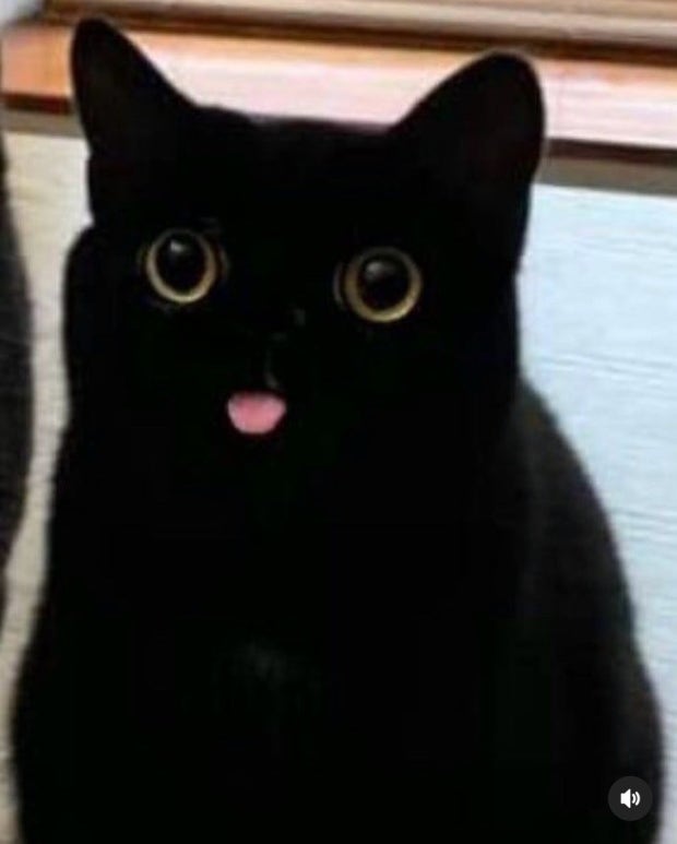 대표 프로필 이미지