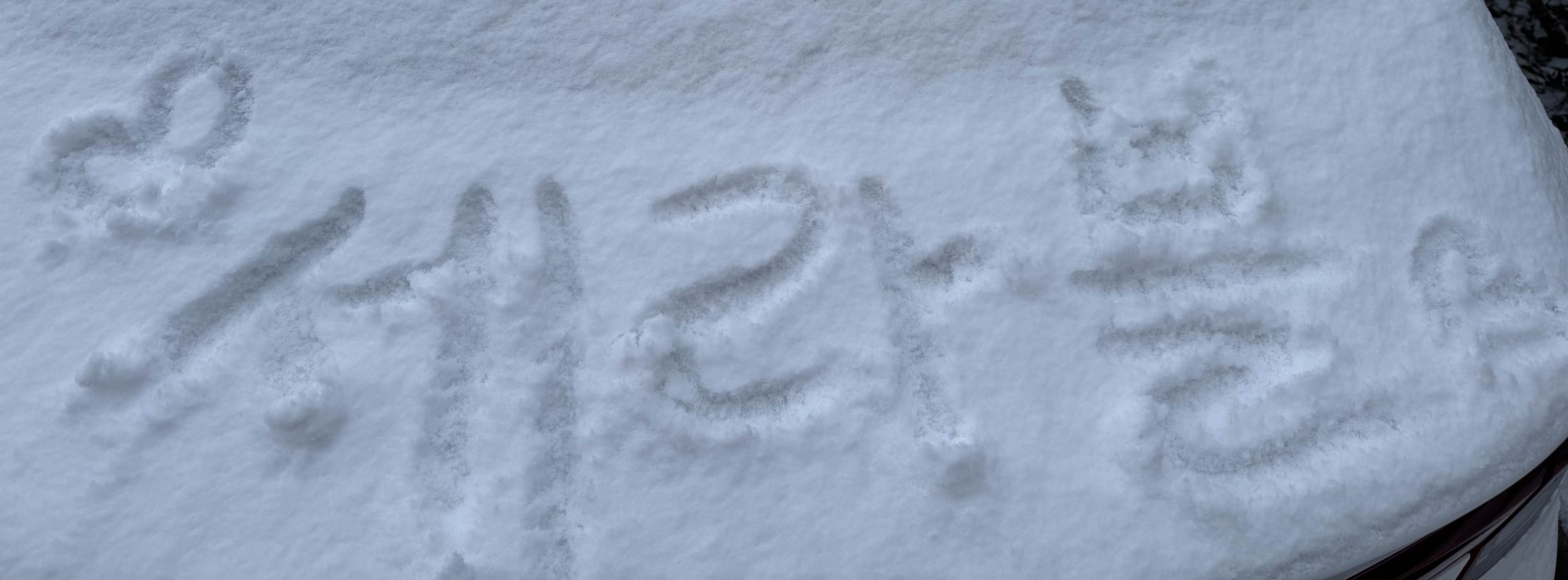 프로필 대표 이미지