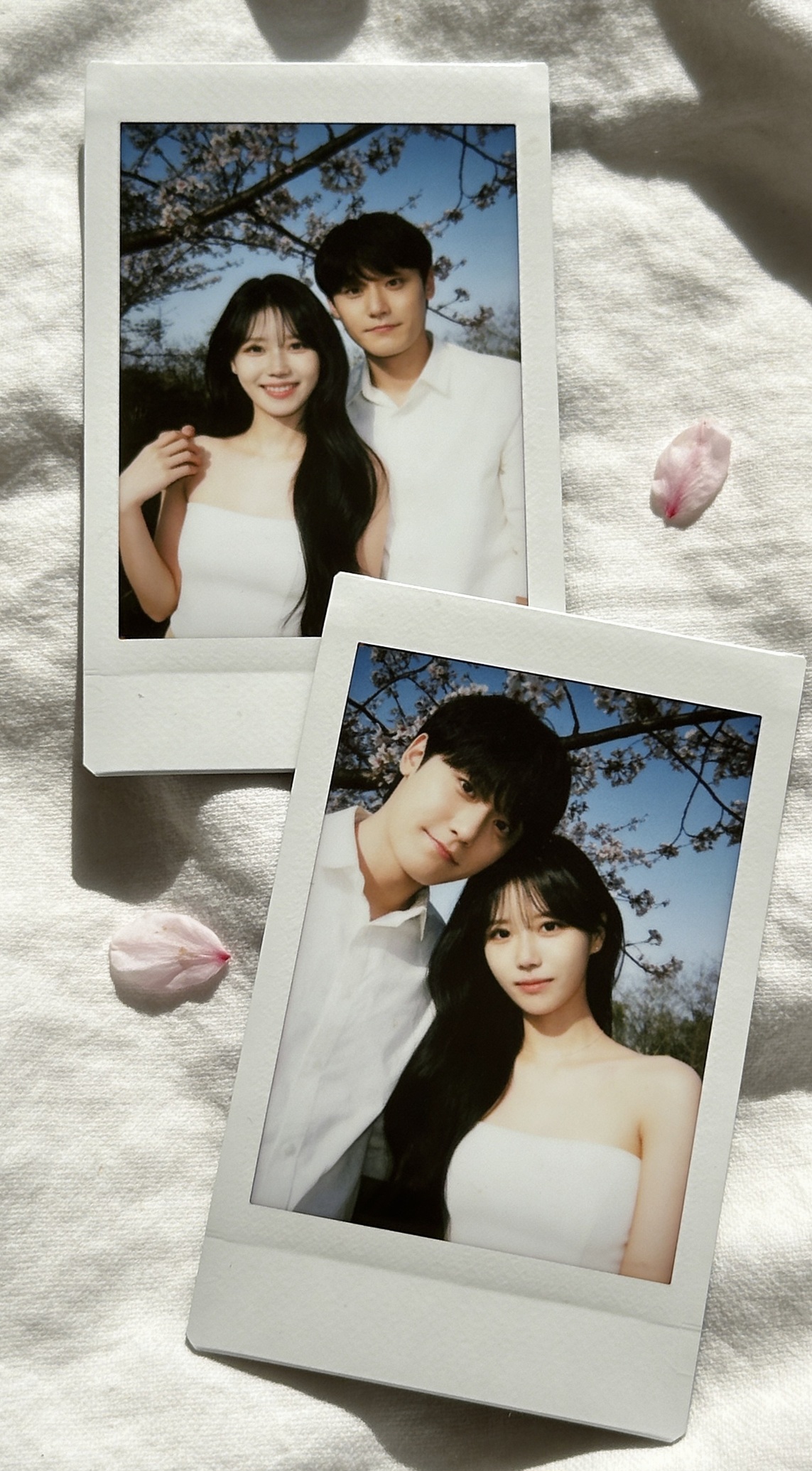 프로필 대표 이미지